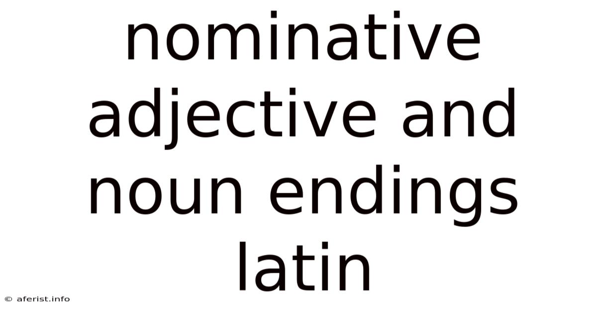 Nominative Adjective And Noun Endings Latin