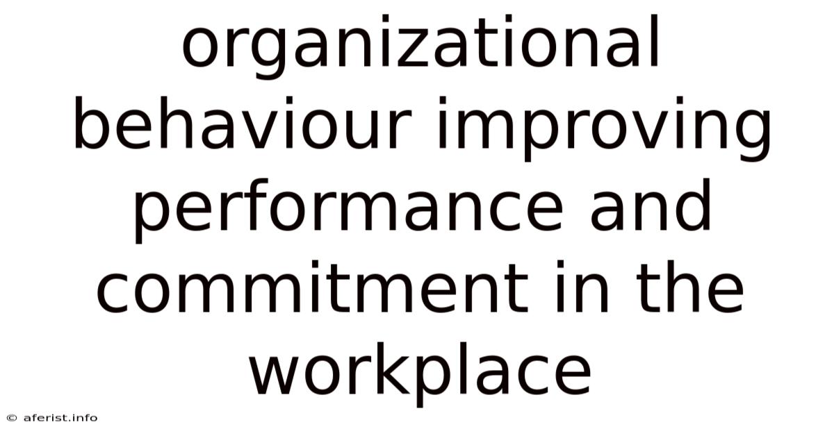 Organizational Behaviour Improving Performance And Commitment In The Workplace