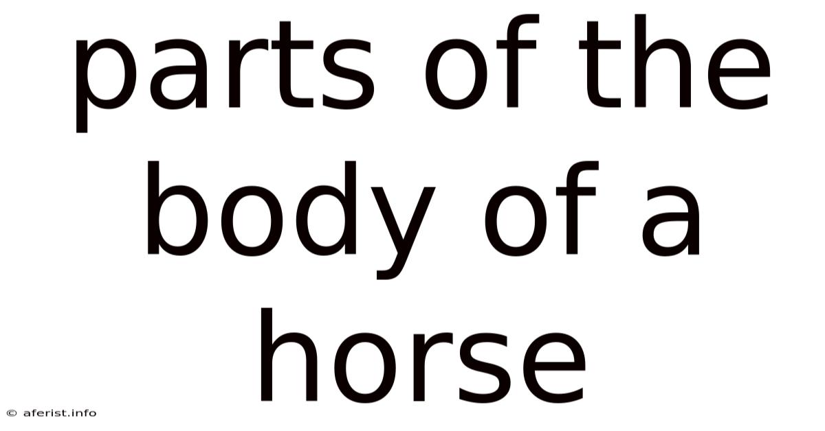 Parts Of The Body Of A Horse