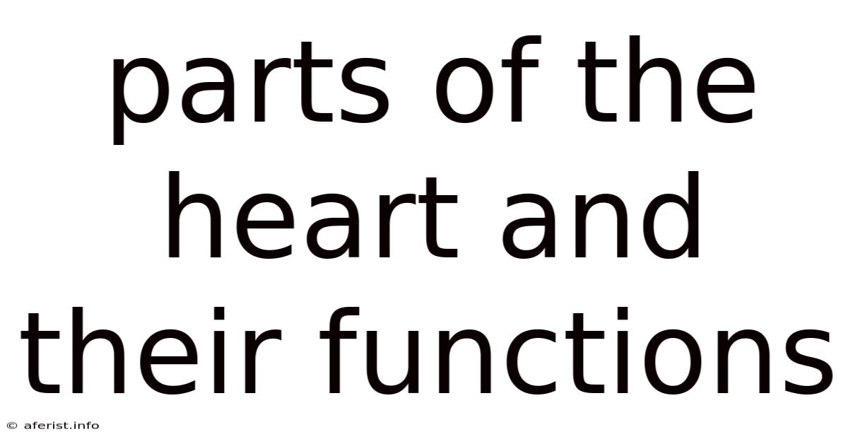 Parts Of The Heart And Their Functions