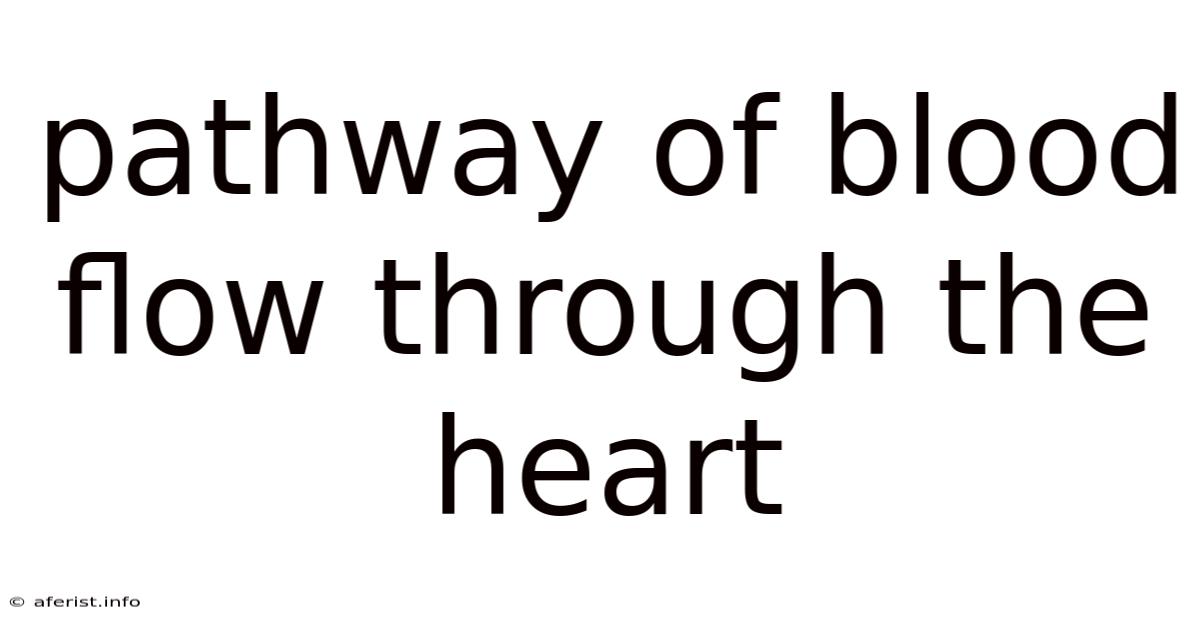 Pathway Of Blood Flow Through The Heart