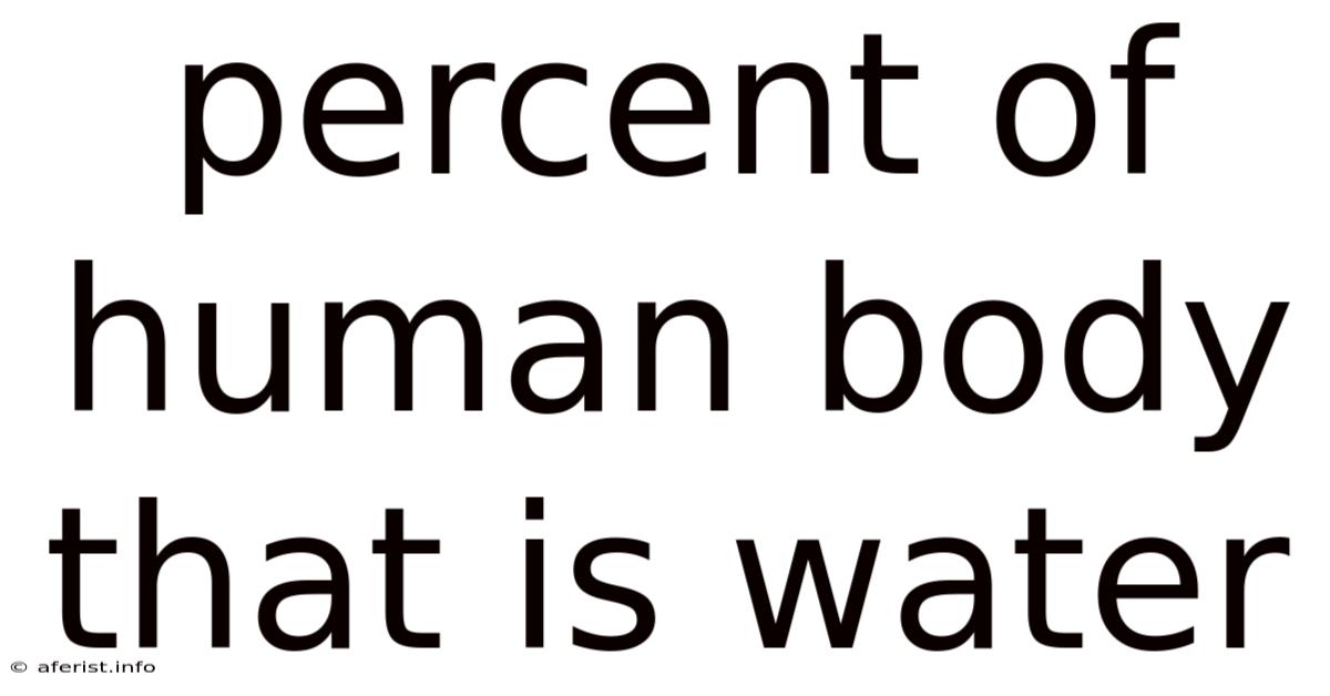 Percent Of Human Body That Is Water