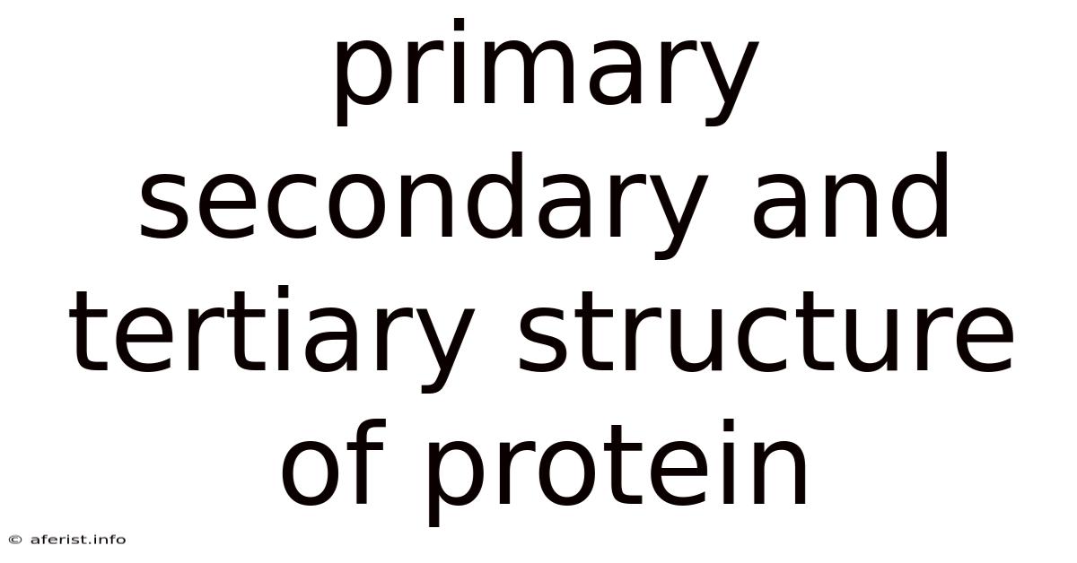 Primary Secondary And Tertiary Structure Of Protein