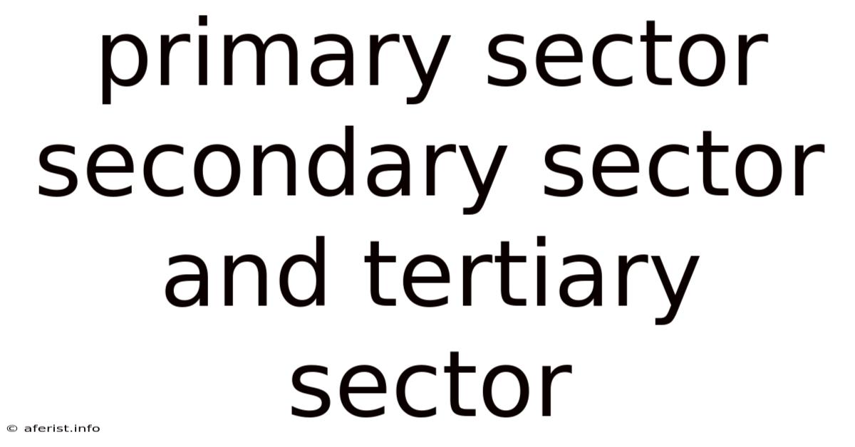 Primary Sector Secondary Sector And Tertiary Sector