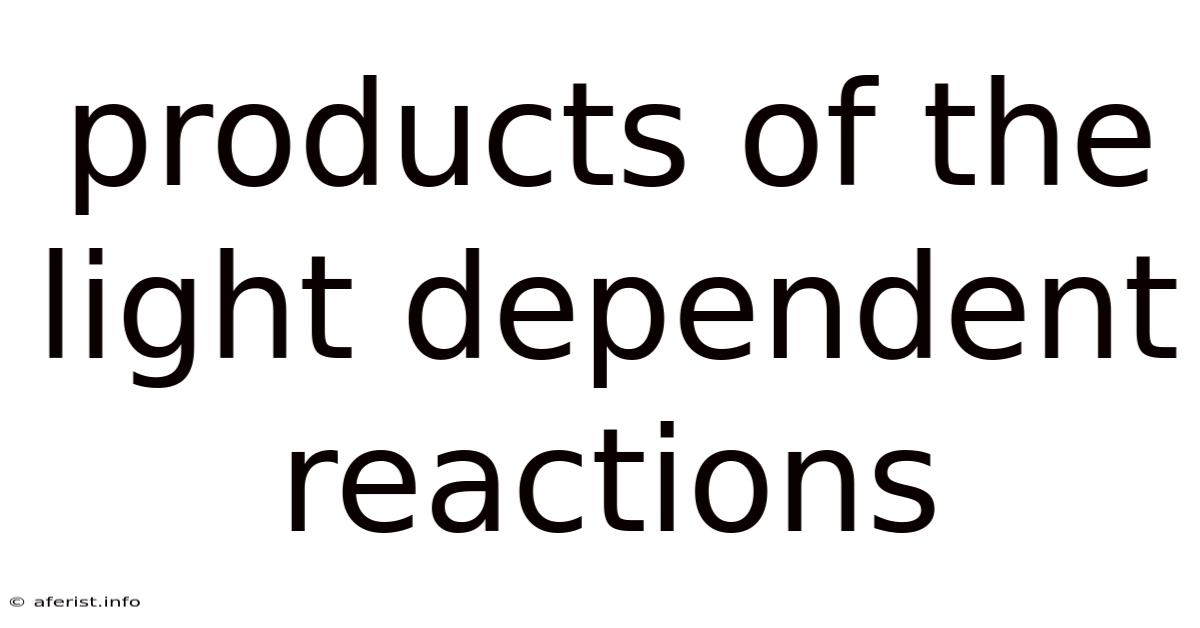 Products Of The Light Dependent Reactions