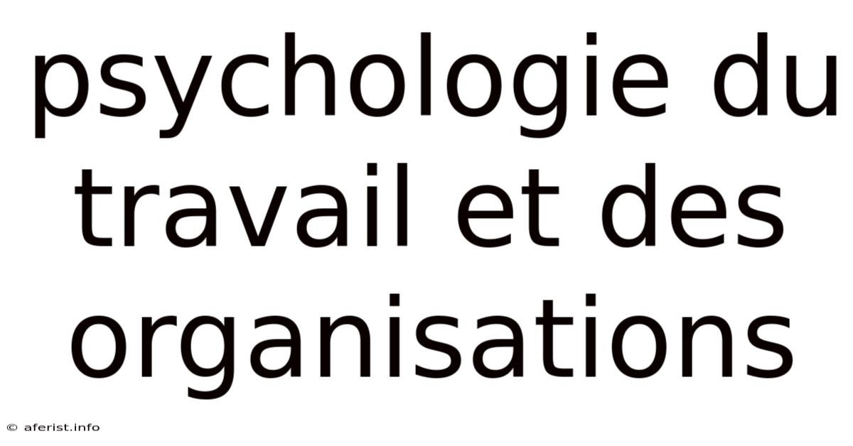 Psychologie Du Travail Et Des Organisations