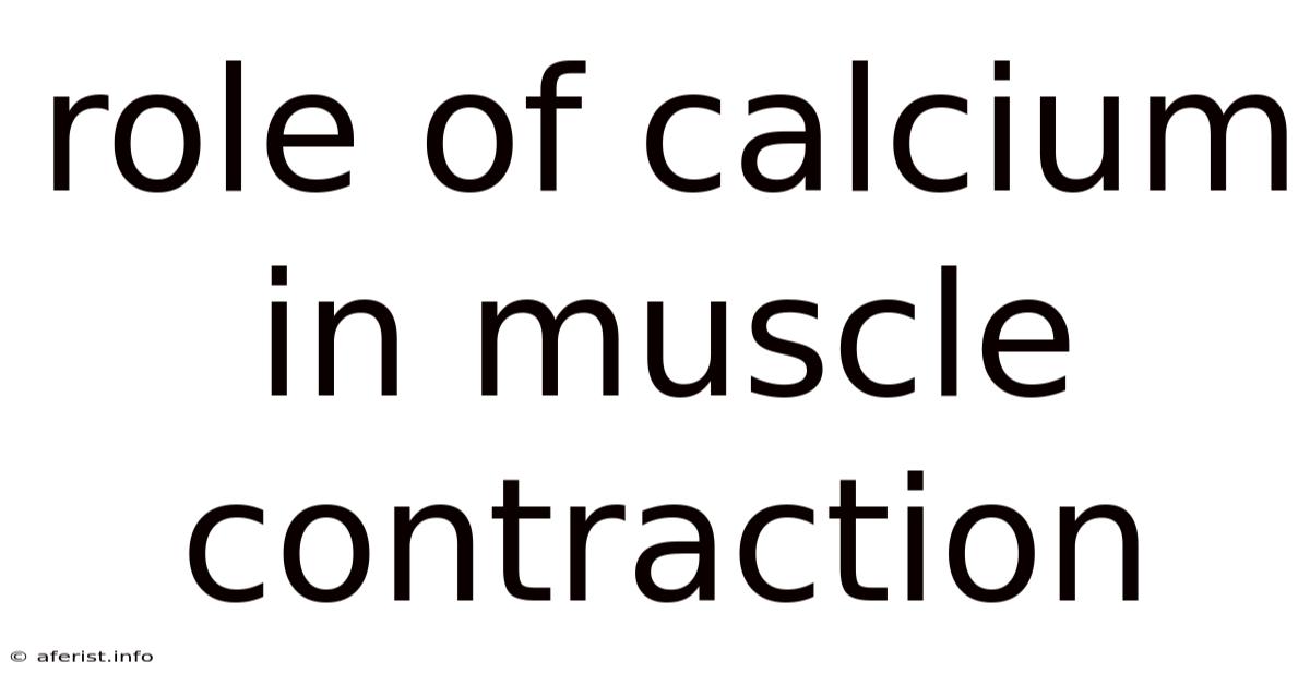 Role Of Calcium In Muscle Contraction