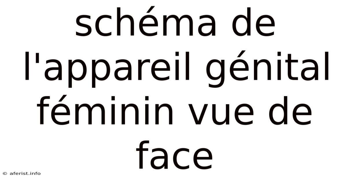 Schéma De L'appareil Génital Féminin Vue De Face