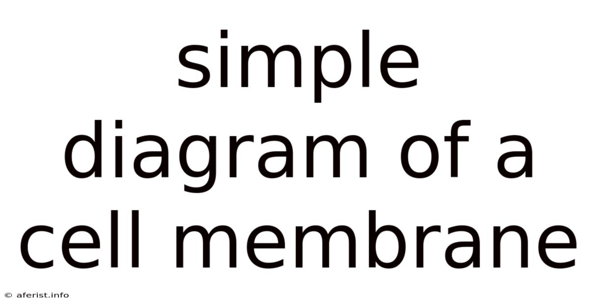 Simple Diagram Of A Cell Membrane