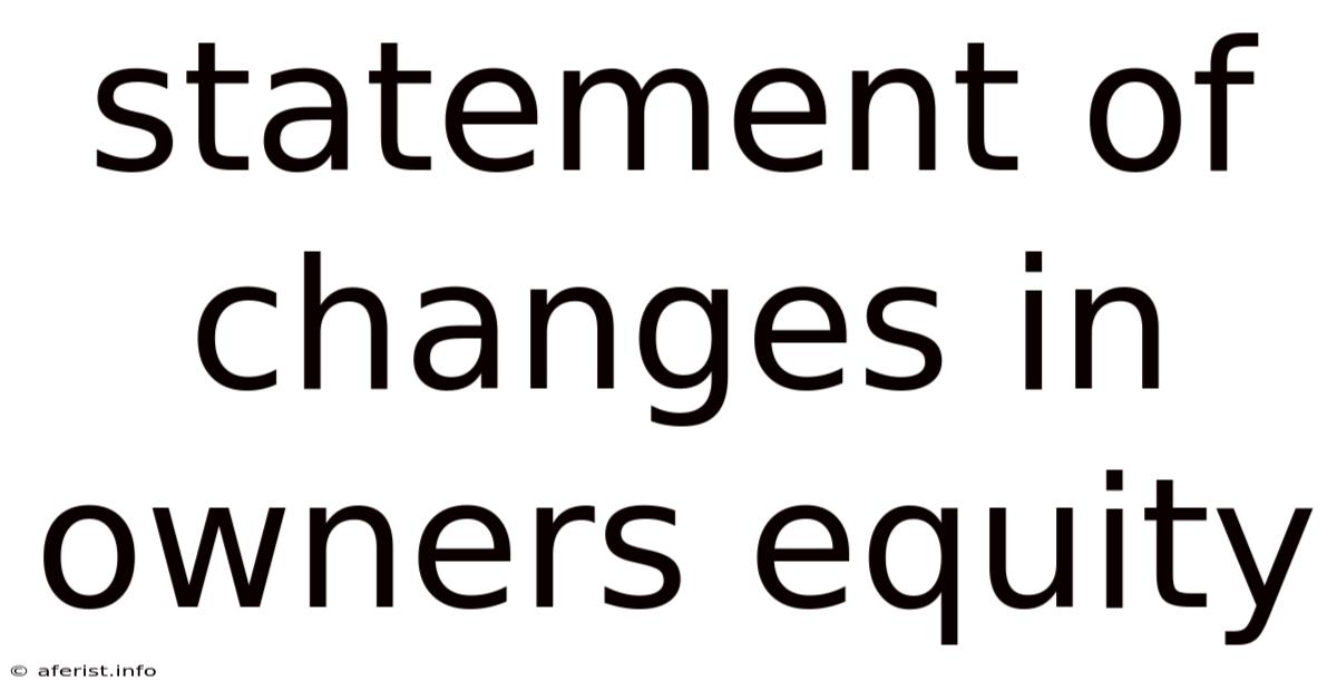 Statement Of Changes In Owners Equity