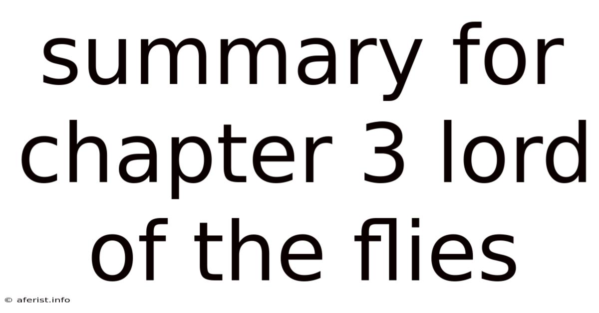 Summary For Chapter 3 Lord Of The Flies