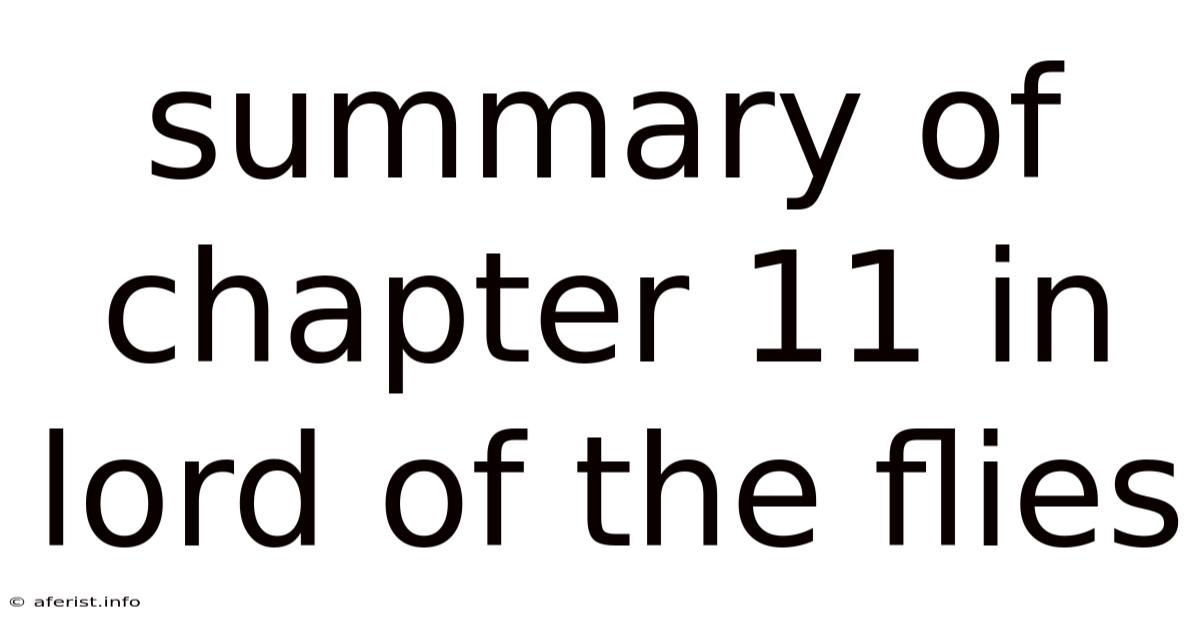 Summary Of Chapter 11 In Lord Of The Flies