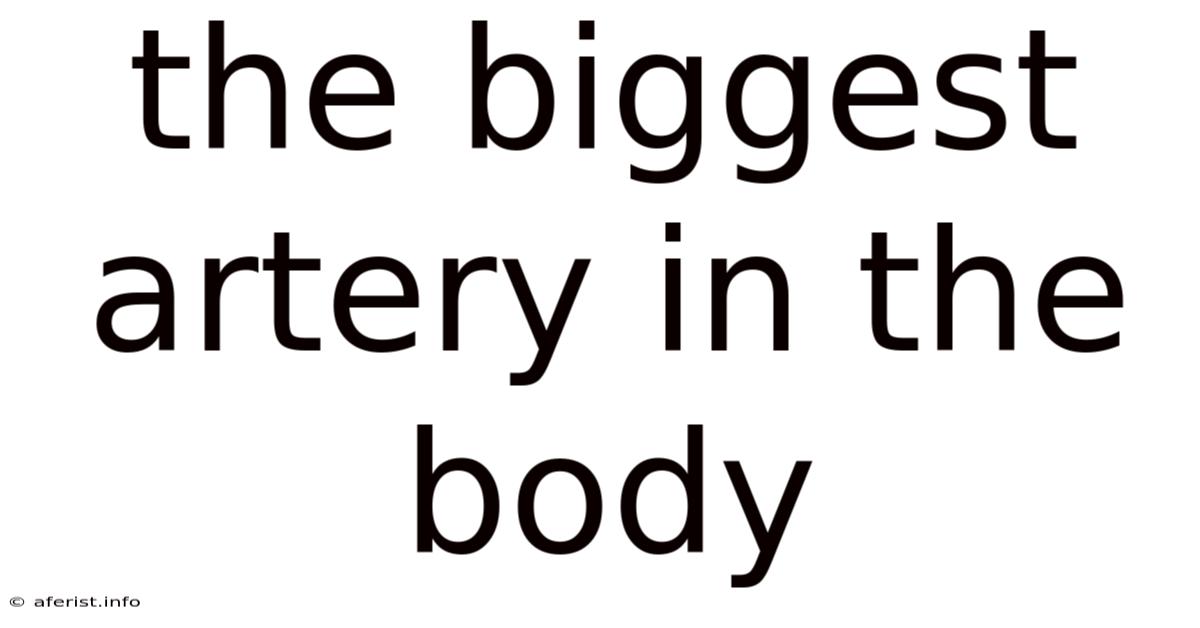 The Biggest Artery In The Body