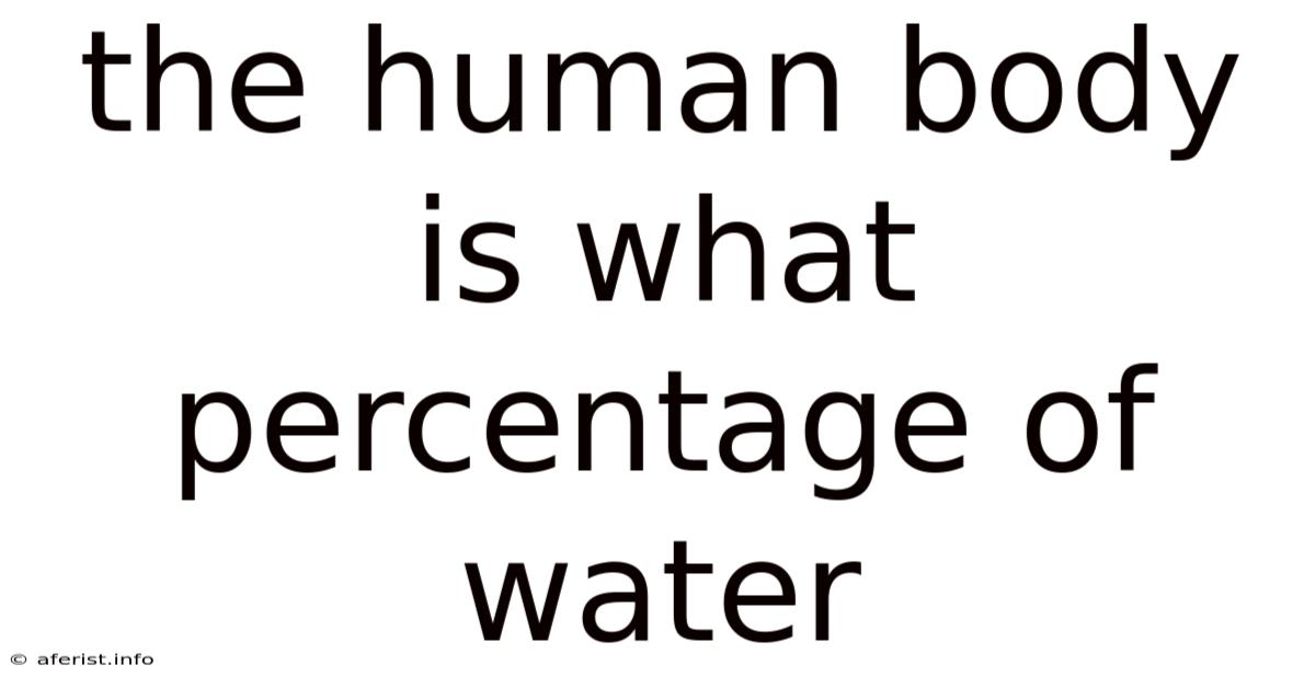 The Human Body Is What Percentage Of Water