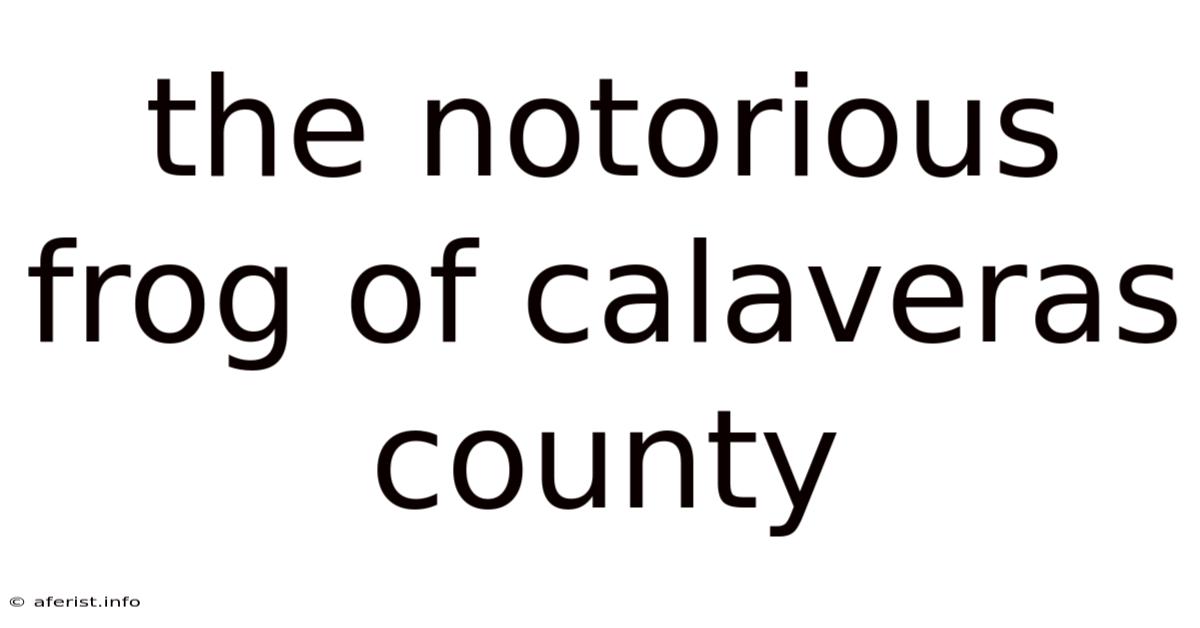 The Notorious Frog Of Calaveras County