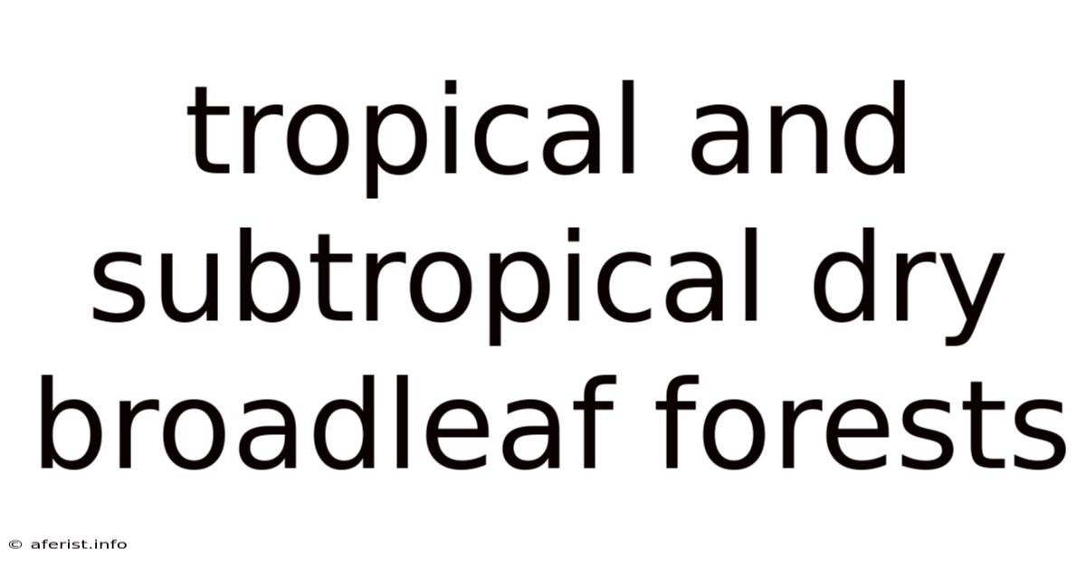 Tropical And Subtropical Dry Broadleaf Forests