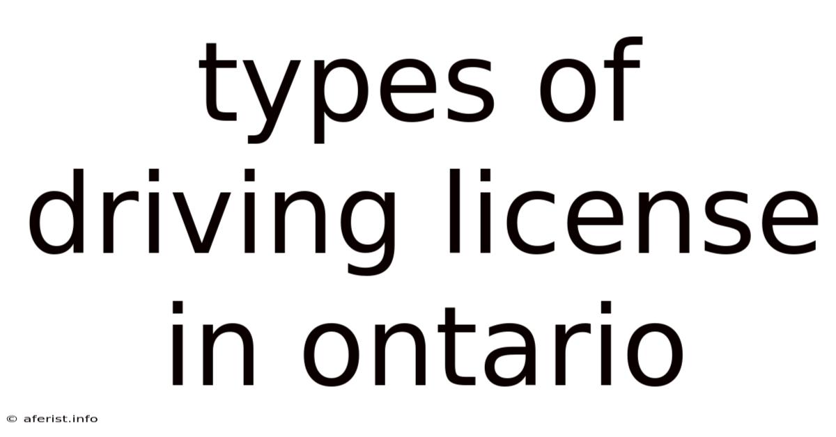 Types Of Driving License In Ontario
