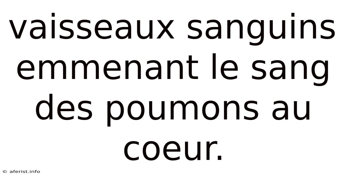 Vaisseaux Sanguins Emmenant Le Sang Des Poumons Au Coeur.