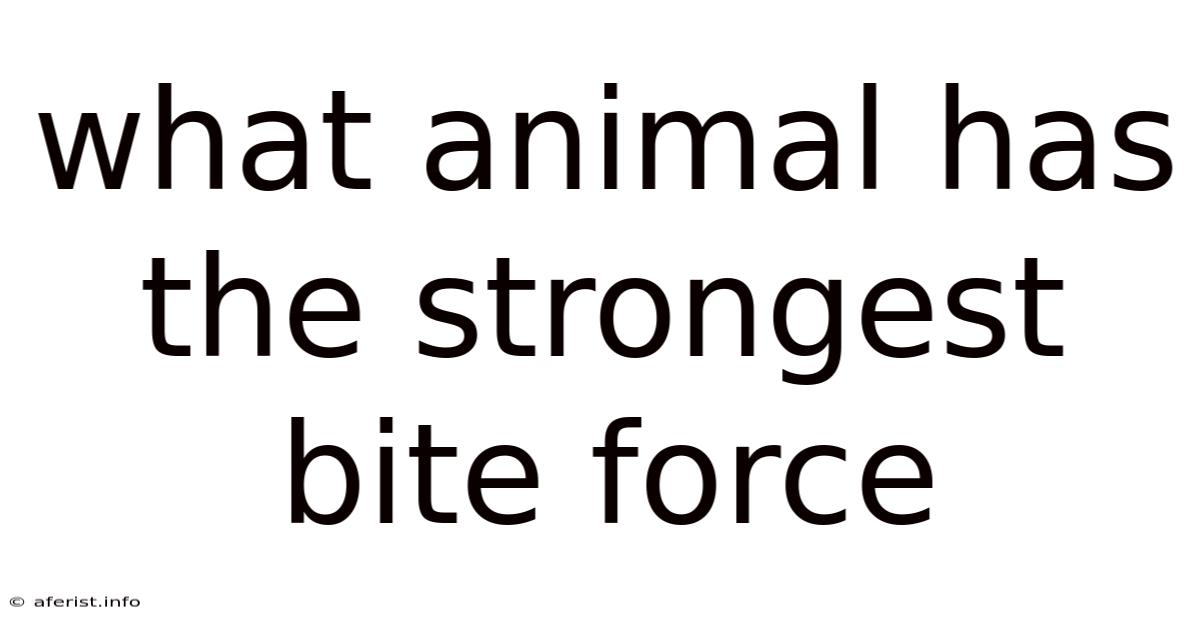 What Animal Has The Strongest Bite Force