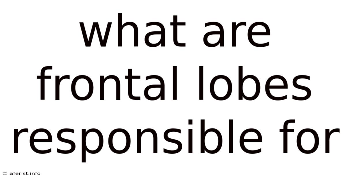 What Are Frontal Lobes Responsible For