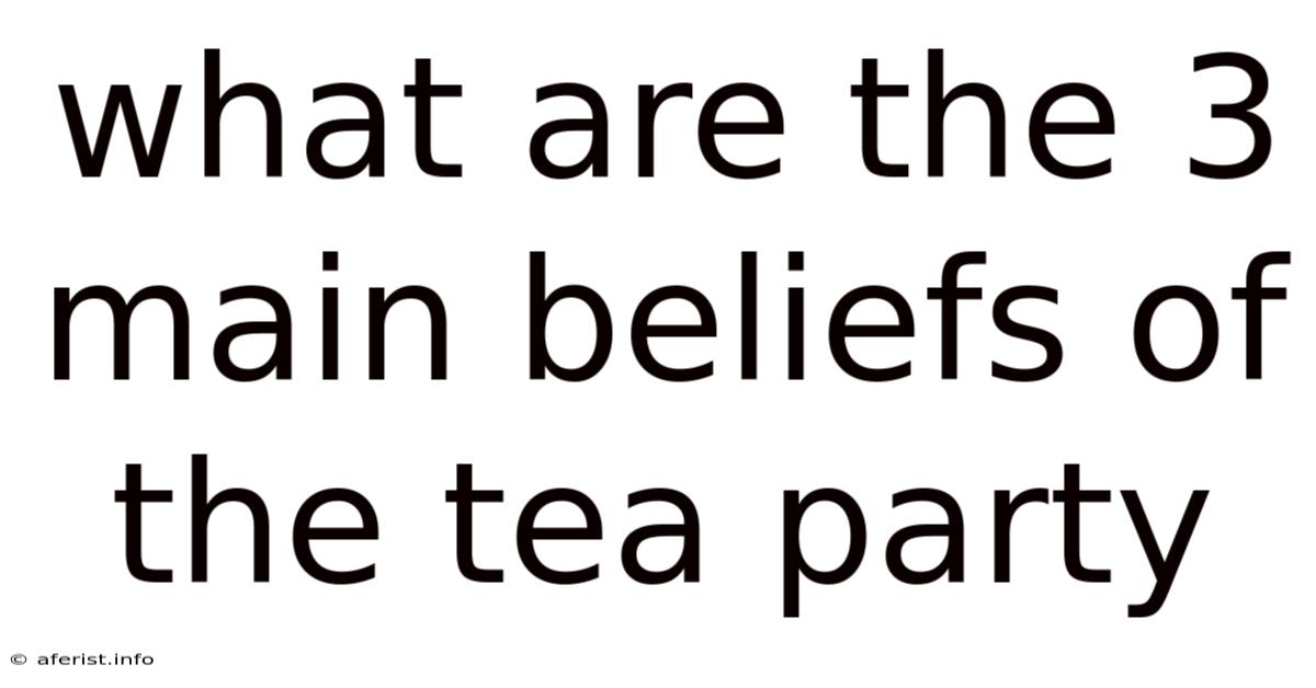 What Are The 3 Main Beliefs Of The Tea Party