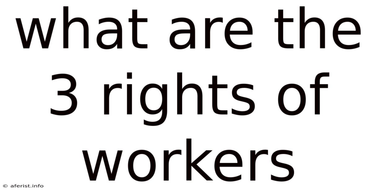 What Are The 3 Rights Of Workers