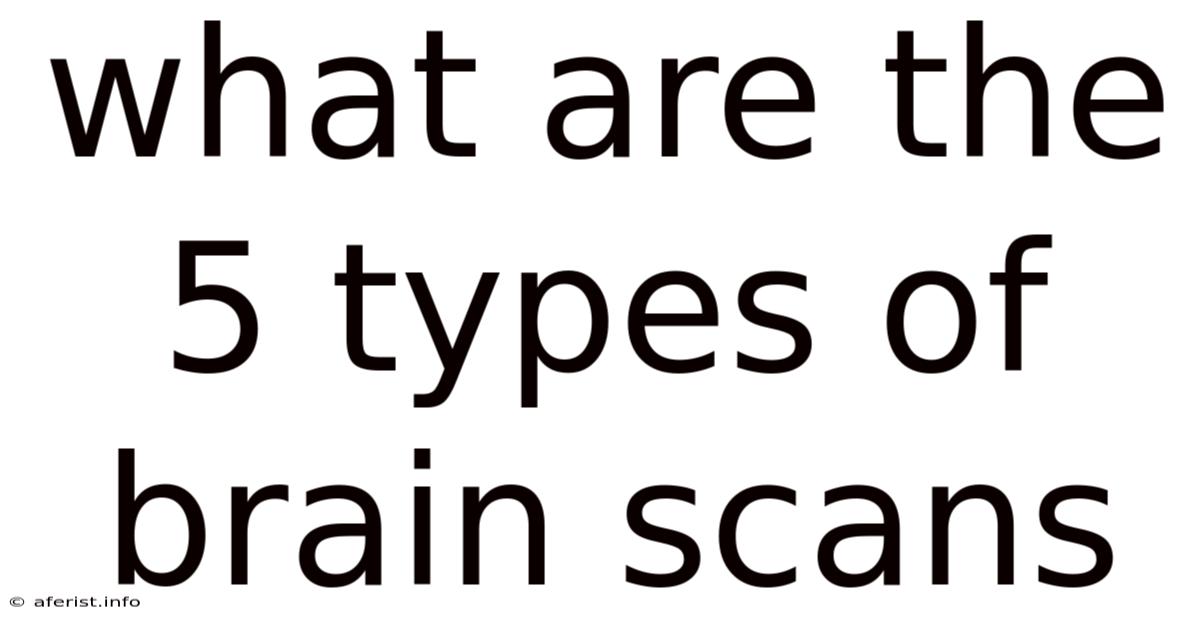 What Are The 5 Types Of Brain Scans