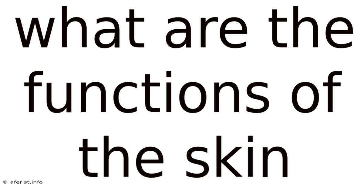 What Are The Functions Of The Skin