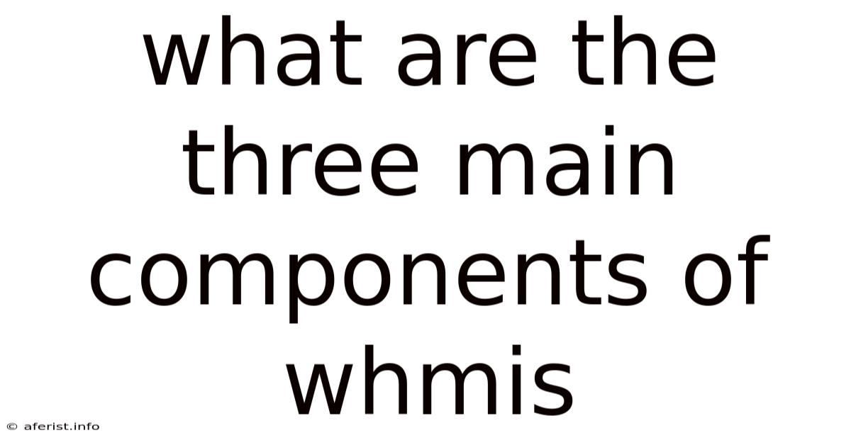What Are The Three Main Components Of Whmis