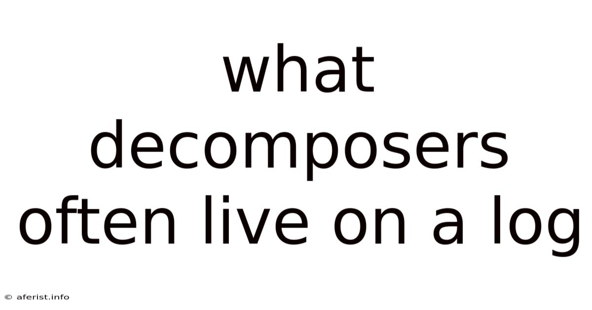 What Decomposers Often Live On A Log