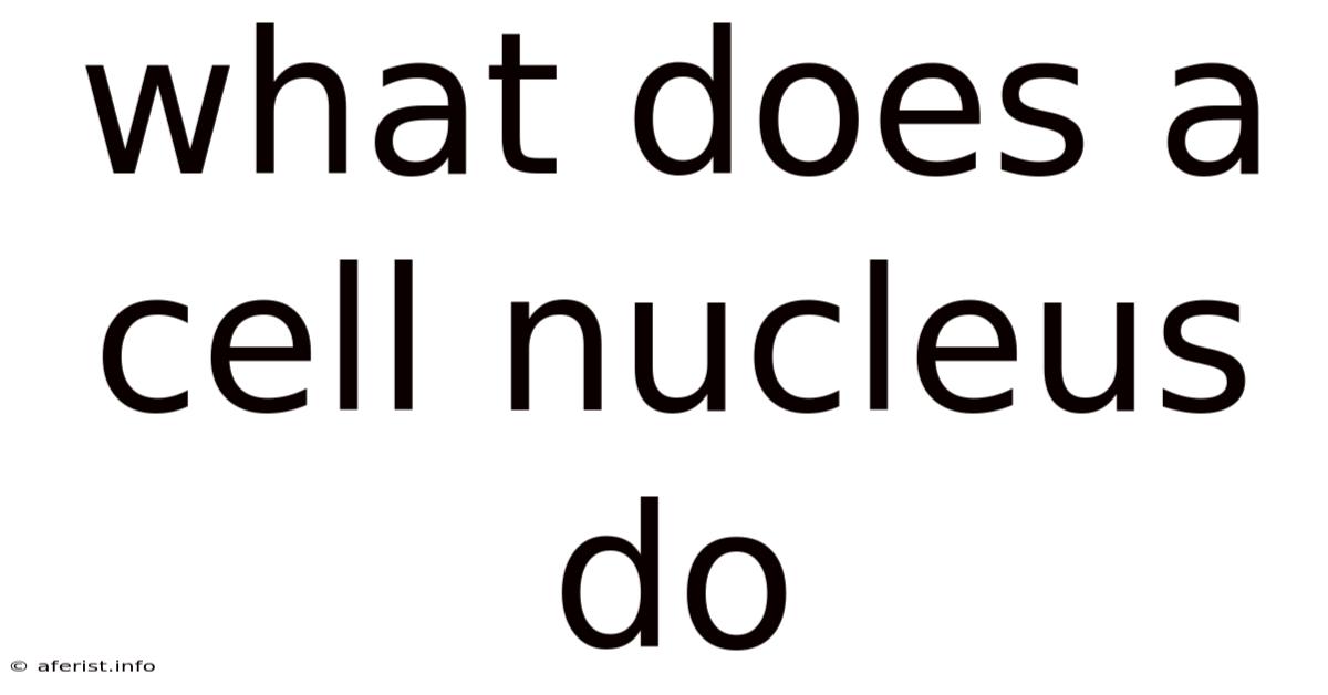 What Does A Cell Nucleus Do