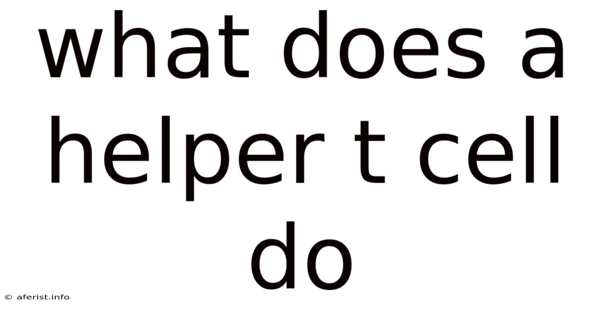 What Does A Helper T Cell Do