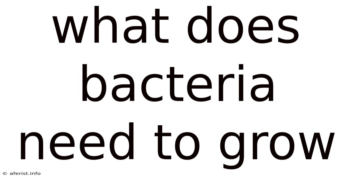 What Does Bacteria Need To Grow