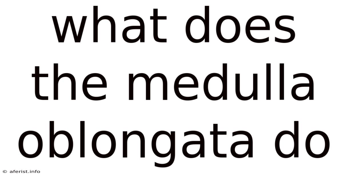 What Does The Medulla Oblongata Do