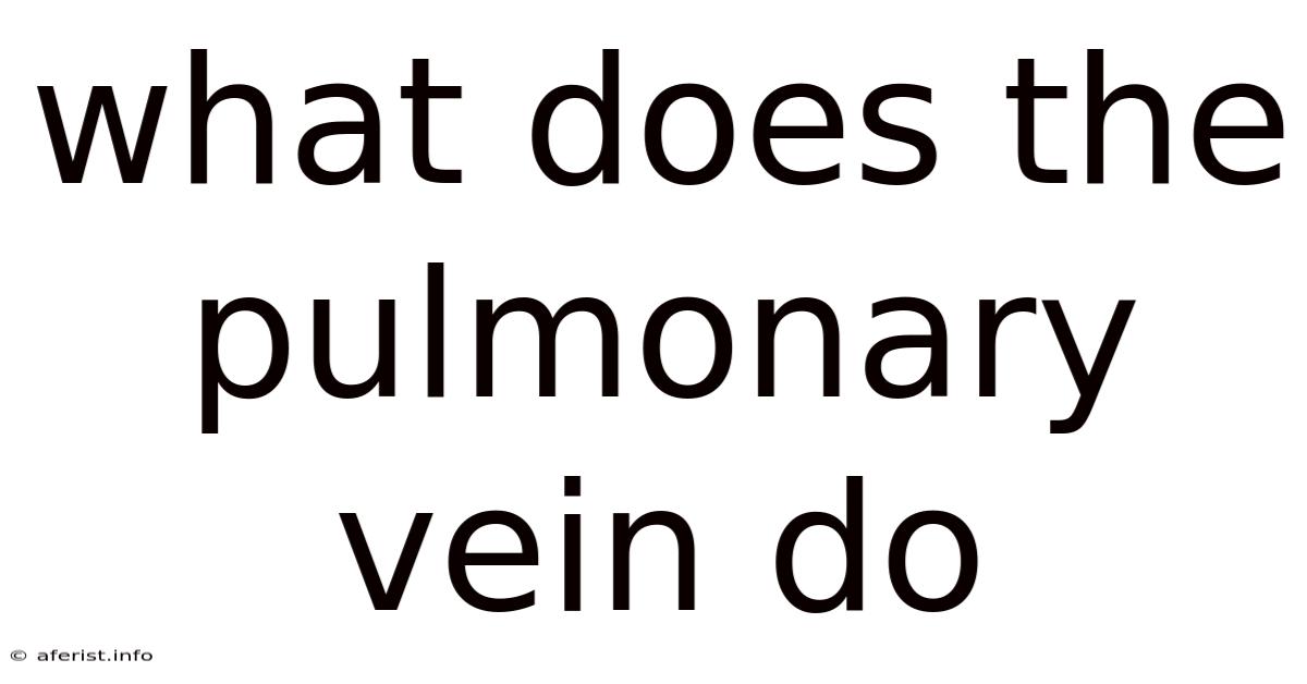 What Does The Pulmonary Vein Do