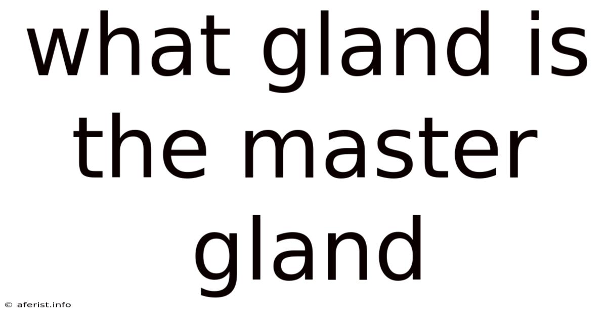 What Gland Is The Master Gland