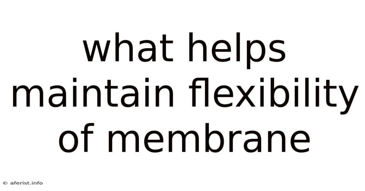 What Helps Maintain Flexibility Of Membrane