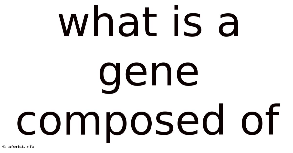 What Is A Gene Composed Of