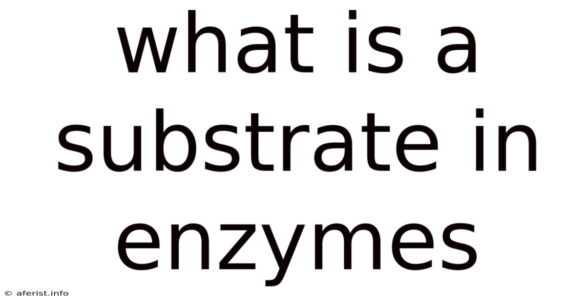 What Is A Substrate In Enzymes