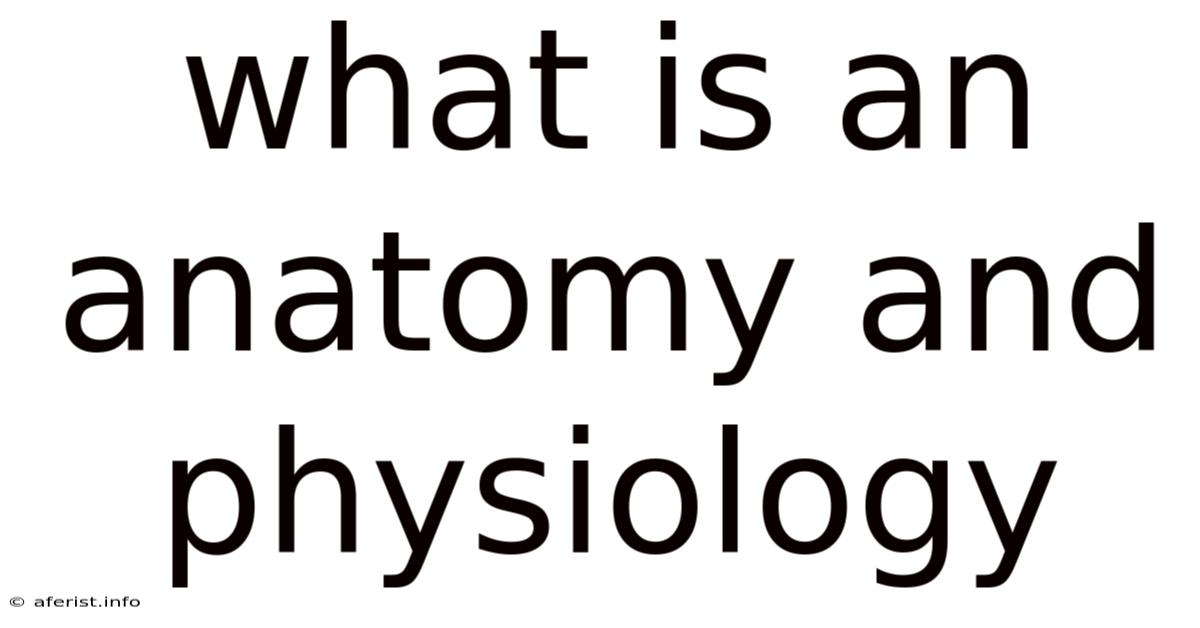 What Is An Anatomy And Physiology
