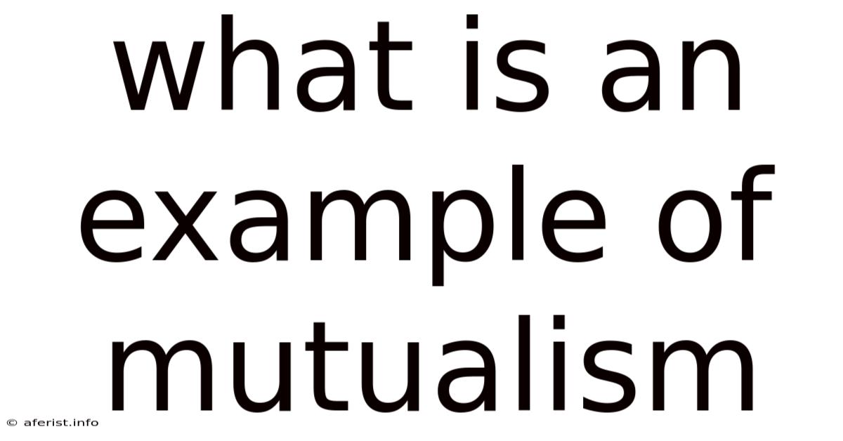 What Is An Example Of Mutualism