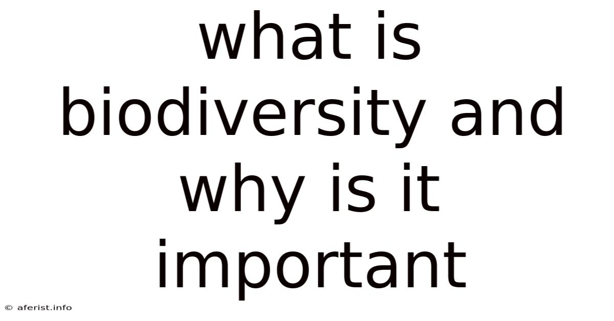 What Is Biodiversity And Why Is It Important