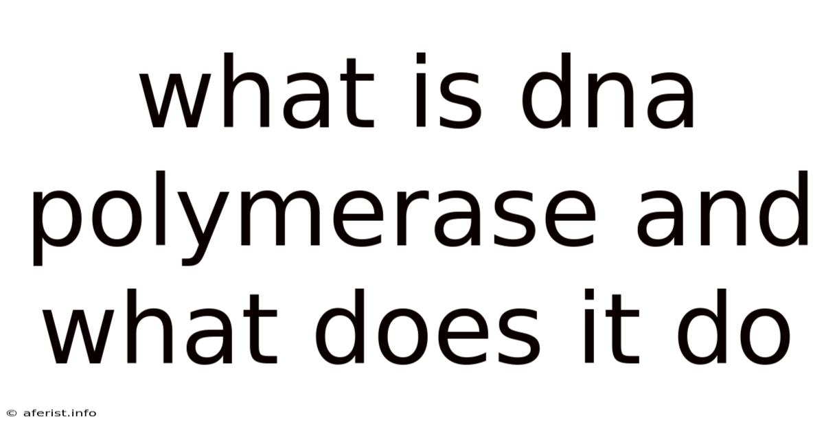 What Is Dna Polymerase And What Does It Do