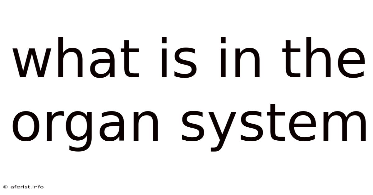 What Is In The Organ System