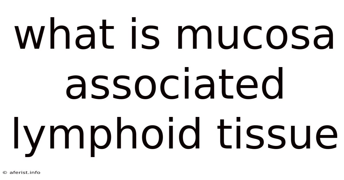 What Is Mucosa Associated Lymphoid Tissue