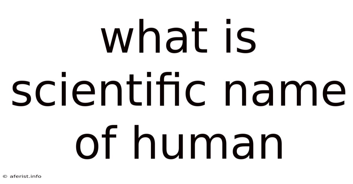 What Is Scientific Name Of Human
