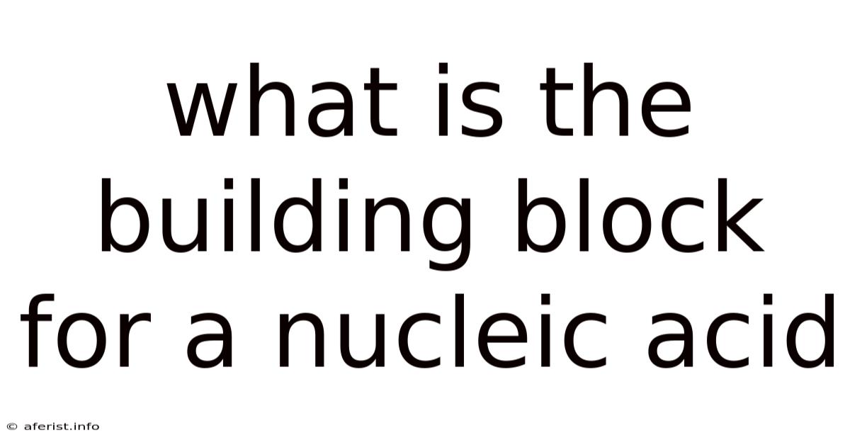 What Is The Building Block For A Nucleic Acid