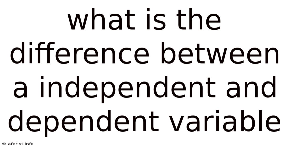 What Is The Difference Between A Independent And Dependent Variable