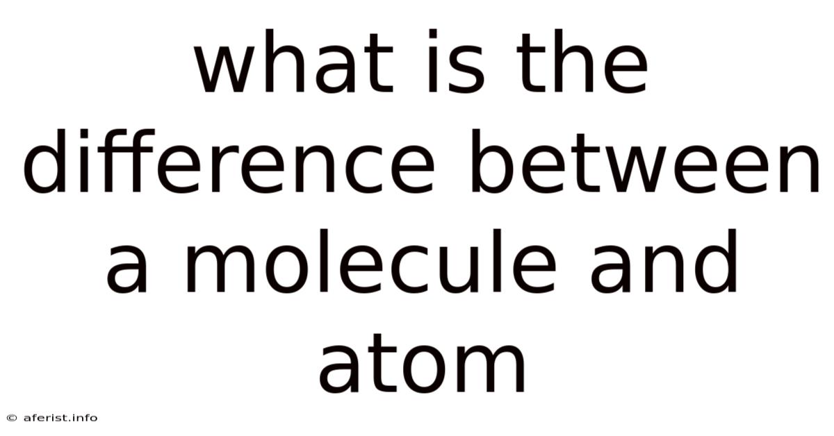 What Is The Difference Between A Molecule And Atom