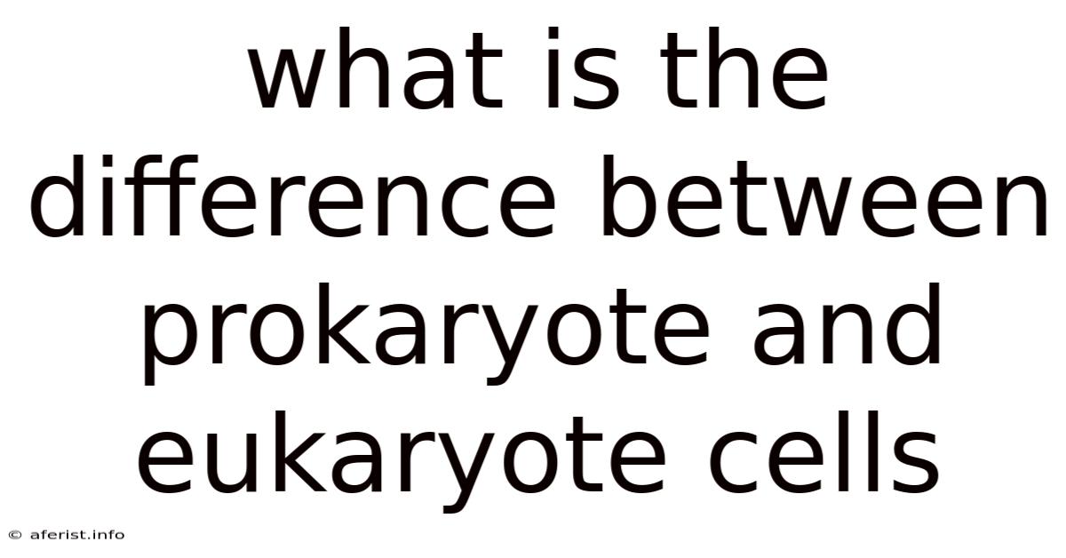 What Is The Difference Between Prokaryote And Eukaryote Cells